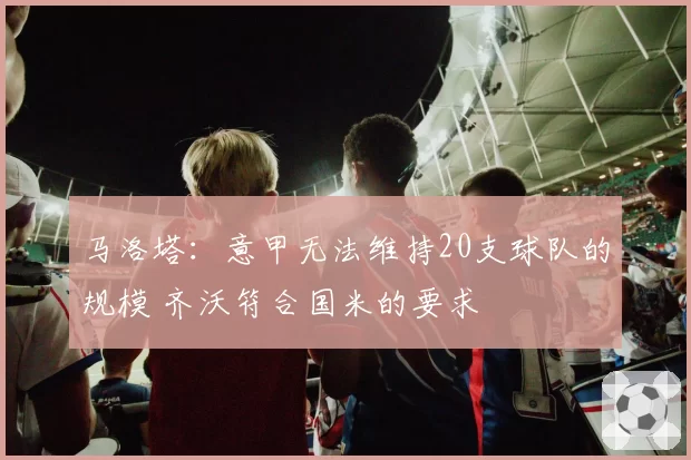 马洛塔：意甲无法维持20支球队的规模 齐沃符合国米的要求