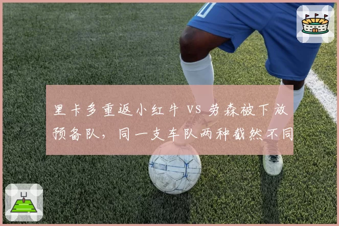 里卡多重返小红牛 vs 劳森被下放预备队，同一支车队两种截然不同的车手管理逻辑